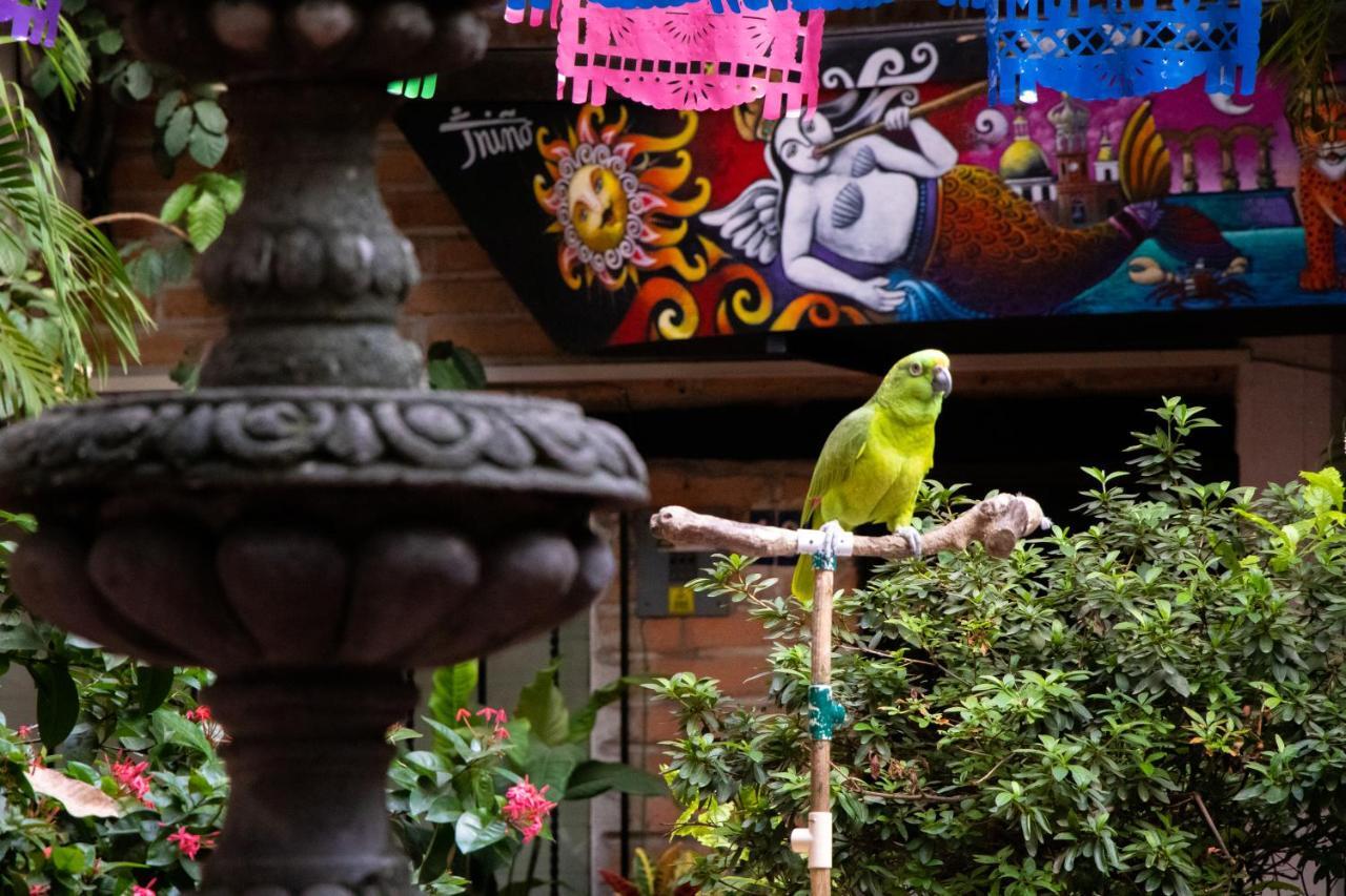 Hotel Posada De Roger 푸에르토 발라타 외부 사진